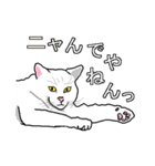ネコへんじ 04 と 05 のセット.（個別スタンプ：31）