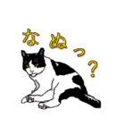 ネコへんじ 04 と 05 のセット.（個別スタンプ：32）