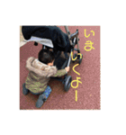 いつきスタンプ❷（個別スタンプ：12）
