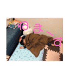 いつきスタンプ❷（個別スタンプ：32）