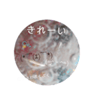 ボンコロ*ニャンコロ*ニャンコロ！2（個別スタンプ：15）