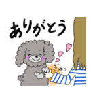 全力！トイプー☆まめvol.01（個別スタンプ：7）