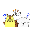 リスぷく＆わた犬の日常（個別スタンプ：28）