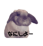 シナたんくぅたん（個別スタンプ：5）