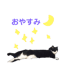 チャミのスタンプ（個別スタンプ：2）