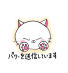 糸目にゃんこのシロ（個別スタンプ：23）