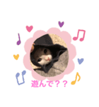 むぎちゃんだにゃー（個別スタンプ：2）