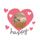 むぎちゃんだにゃー（個別スタンプ：5）