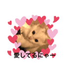 むぎちゃんだにゃー（個別スタンプ：8）