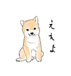 愛らしく真面目な柴犬さん 関西弁日常会話（個別スタンプ：1）