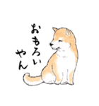 愛らしく真面目な柴犬さん 関西弁日常会話（個別スタンプ：8）