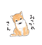 愛らしく真面目な柴犬さん 関西弁日常会話（個別スタンプ：12）