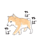 愛らしく真面目な柴犬さん 関西弁日常会話（個別スタンプ：30）