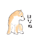 愛らしく真面目な柴犬さん 関西弁日常会話（個別スタンプ：39）