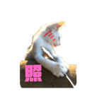 飼い猫たちの日常生活（個別スタンプ：26）