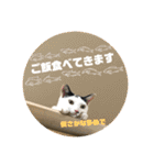 飼い猫たちの日常生活（個別スタンプ：27）
