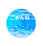 sea world2♡[日本語]（個別スタンプ：12）