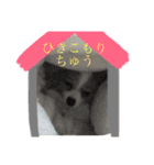 ぷりん＆らあく（個別スタンプ：14）