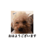 もっちゃんです(自宅警備員)（個別スタンプ：1）