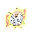 もっちゃんです(自宅警備員)（個別スタンプ：3）