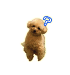 もっちゃんです(自宅警備員)（個別スタンプ：6）