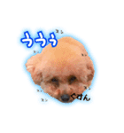 もっちゃんです(自宅警備員)（個別スタンプ：7）