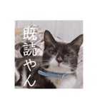 HITOMI家（個別スタンプ：3）