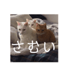 HITOMI家（個別スタンプ：14）