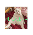 HITOMI家（個別スタンプ：30）