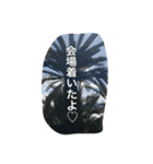 推しは推せる時に推せ♡人生一度きり。（個別スタンプ：38）
