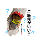 ひまっぴ 2（個別スタンプ：14）