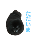 黒ぽめだけどスタンプになりたい2（個別スタンプ：2）