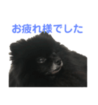 黒ぽめだけどスタンプになりたい2（個別スタンプ：5）