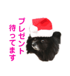 黒ぽめだけどスタンプになりたい2（個別スタンプ：23）