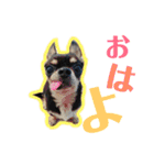 rhythm1（個別スタンプ：8）