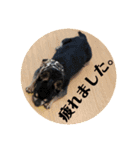 rhythm1（個別スタンプ：11）