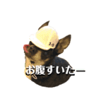 rhythm1（個別スタンプ：13）