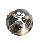 rhythm1（個別スタンプ：14）
