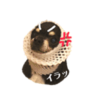 rhythm1（個別スタンプ：16）