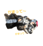 ココアとロイヤル（個別スタンプ：5）