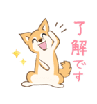 柴犬ハル君（個別スタンプ：2）