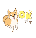 柴犬ハル君（個別スタンプ：3）