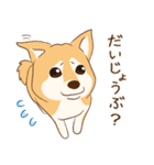 柴犬ハル君（個別スタンプ：4）