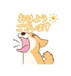 柴犬ハル君（個別スタンプ：8）