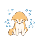 柴犬ハル君（個別スタンプ：10）
