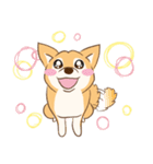 柴犬ハル君（個別スタンプ：12）