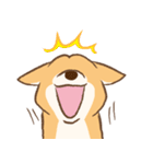 柴犬ハル君（個別スタンプ：13）