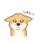 柴犬ハル君（個別スタンプ：14）