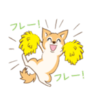 柴犬ハル君（個別スタンプ：17）
