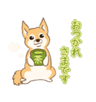 柴犬ハル君（個別スタンプ：19）